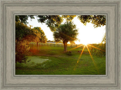 Plate 2 - Preparing a Pond
