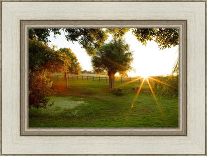 Plate 2 - Preparing a Pond