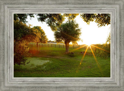 Plate 2 - Preparing a Pond