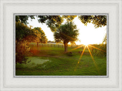 Plate 2 - Preparing a Pond