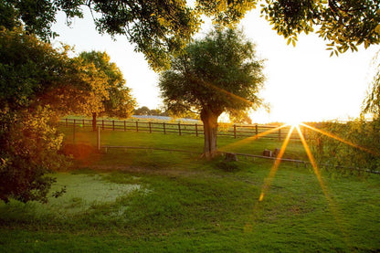 Plate 2 - Preparing a Pond