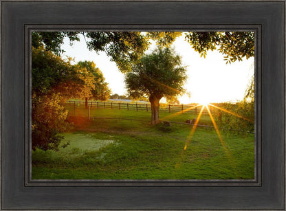 Plate 2 - Preparing a Pond