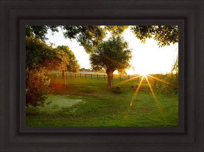 Plate 2 - Preparing a Pond