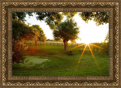 Plate 2 - Preparing a Pond