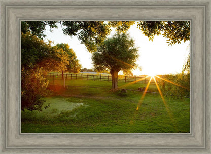 Plate 2 - Preparing a Pond