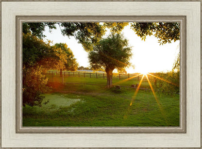 Plate 2 - Preparing a Pond
