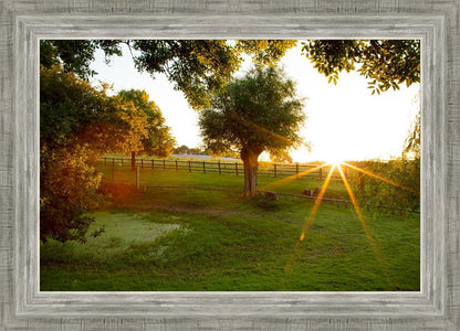 Plate 2 - Preparing a Pond