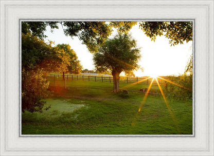 Plate 2 - Preparing a Pond
