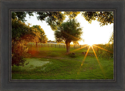 Plate 2 - Preparing a Pond