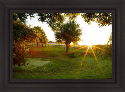 Plate 2 - Preparing a Pond