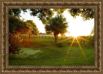 Plate 2 - Preparing a Pond