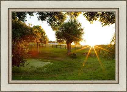 Plate 2 - Preparing a Pond
