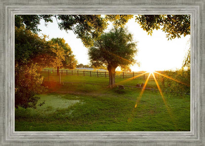 Plate 2 - Preparing a Pond
