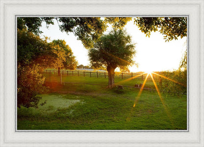 Plate 2 - Preparing a Pond