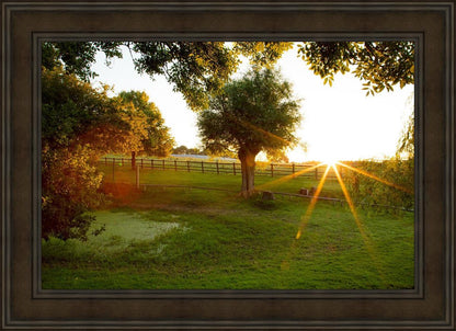 Plate 2 - Preparing a Pond