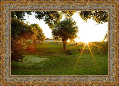 Plate 2 - Preparing a Pond