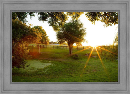 Plate 2 - Preparing a Pond