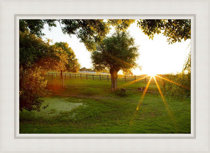 Plate 2 - Preparing a Pond