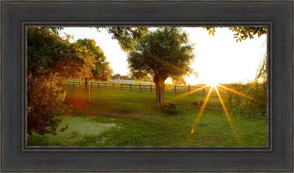 Plate 2 - Preparing a Pond