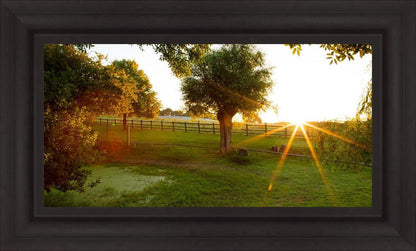 Plate 2 - Preparing a Pond