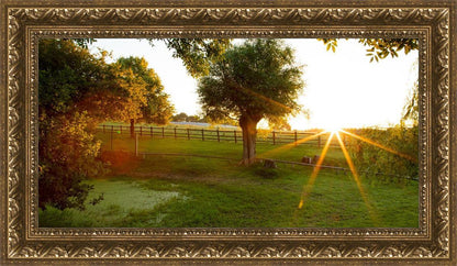Plate 2 - Preparing a Pond