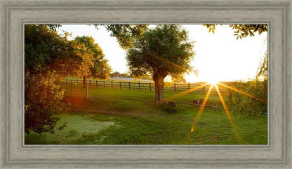 Plate 2 - Preparing a Pond