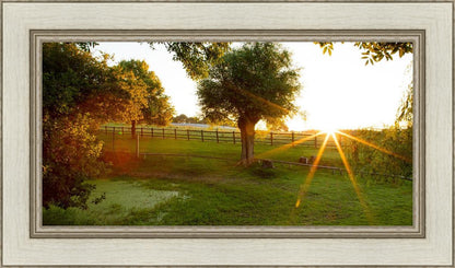 Plate 2 - Preparing a Pond