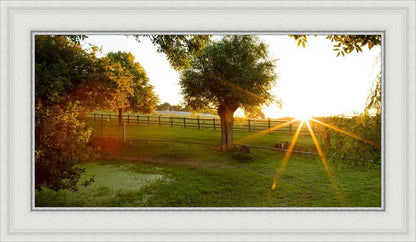 Plate 2 - Preparing a Pond