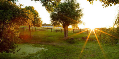 Plate 2 - Preparing a Pond
