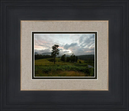 Plate 3 - Tarn Hows Above Ambleside