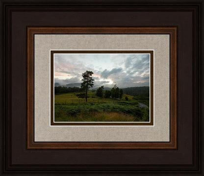 Plate 3 - Tarn Hows Above Ambleside