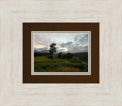 Plate 3 - Tarn Hows Above Ambleside