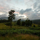 Plate 3 - Tarn Hows Above Ambleside