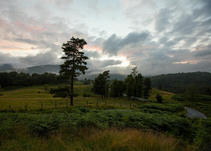 Plate 3 - Tarn Hows Above Ambleside