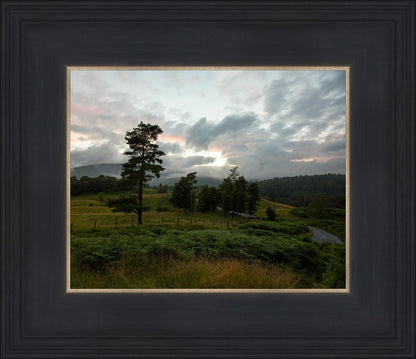 Plate 3 - Tarn Hows Above Ambleside