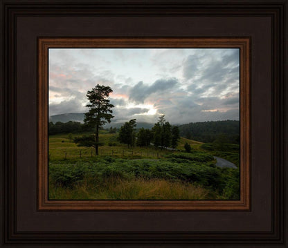 Plate 3 - Tarn Hows Above Ambleside