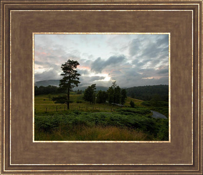 Plate 3 - Tarn Hows Above Ambleside