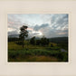 Plate 3 - Tarn Hows Above Ambleside
