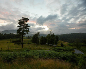 Plate 3 - Tarn Hows Above Ambleside