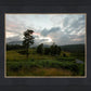 Plate 3 - Tarn Hows Above Ambleside