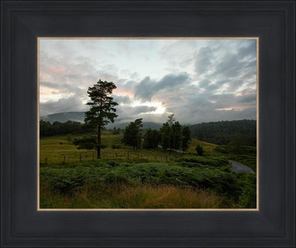 Plate 3 - Tarn Hows Above Ambleside