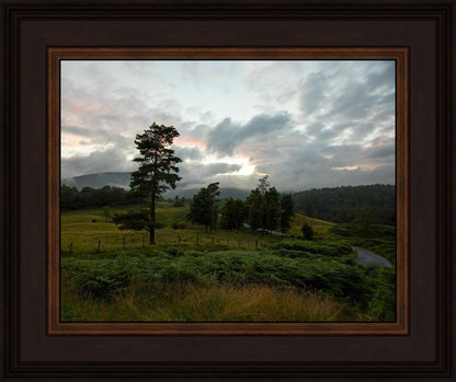 Plate 3 - Tarn Hows Above Ambleside