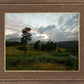 Plate 3 - Tarn Hows Above Ambleside