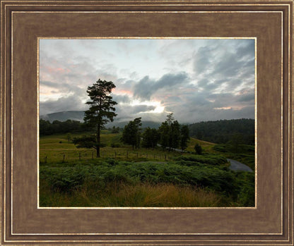 Plate 3 - Tarn Hows Above Ambleside