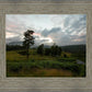 Plate 3 - Tarn Hows Above Ambleside