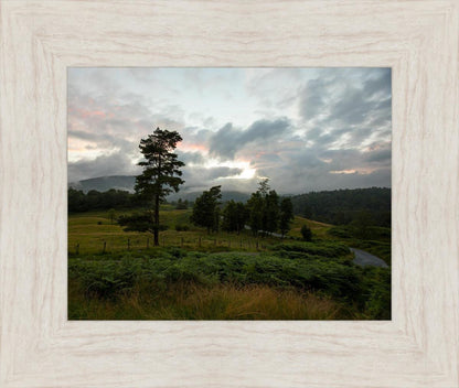 Plate 3 - Tarn Hows Above Ambleside