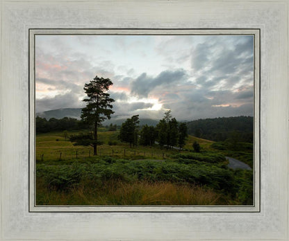 Plate 3 - Tarn Hows Above Ambleside
