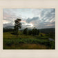Plate 3 - Tarn Hows Above Ambleside