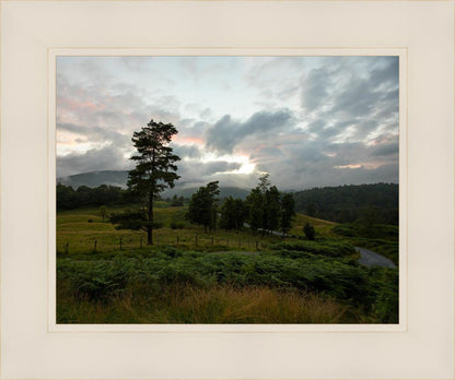 Plate 3 - Tarn Hows Above Ambleside