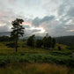 Plate 3 - Tarn Hows Above Ambleside